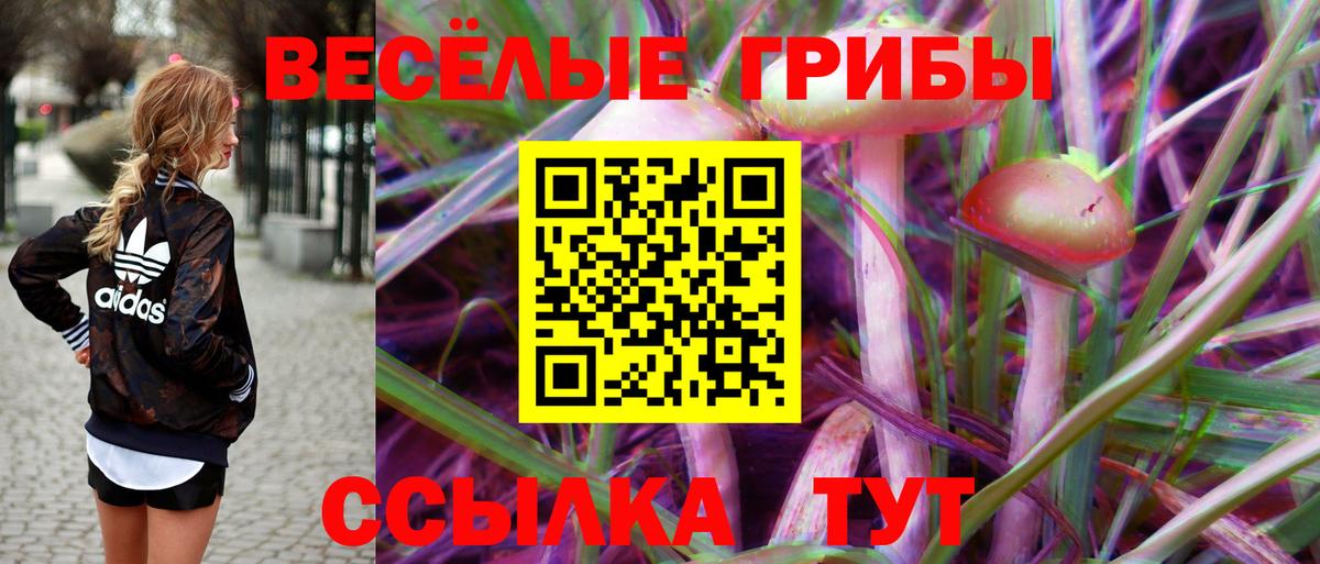 купить наркоту  Вход с VPN  Орехово-Зуево  Псилоцибиновые грибы GOLDEN TEACHER 